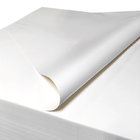 กระดาษพิมพ์สำเนาเยื่อไม้บริสุทธิ์ 100% สำหรับห้องคลีนรูม
