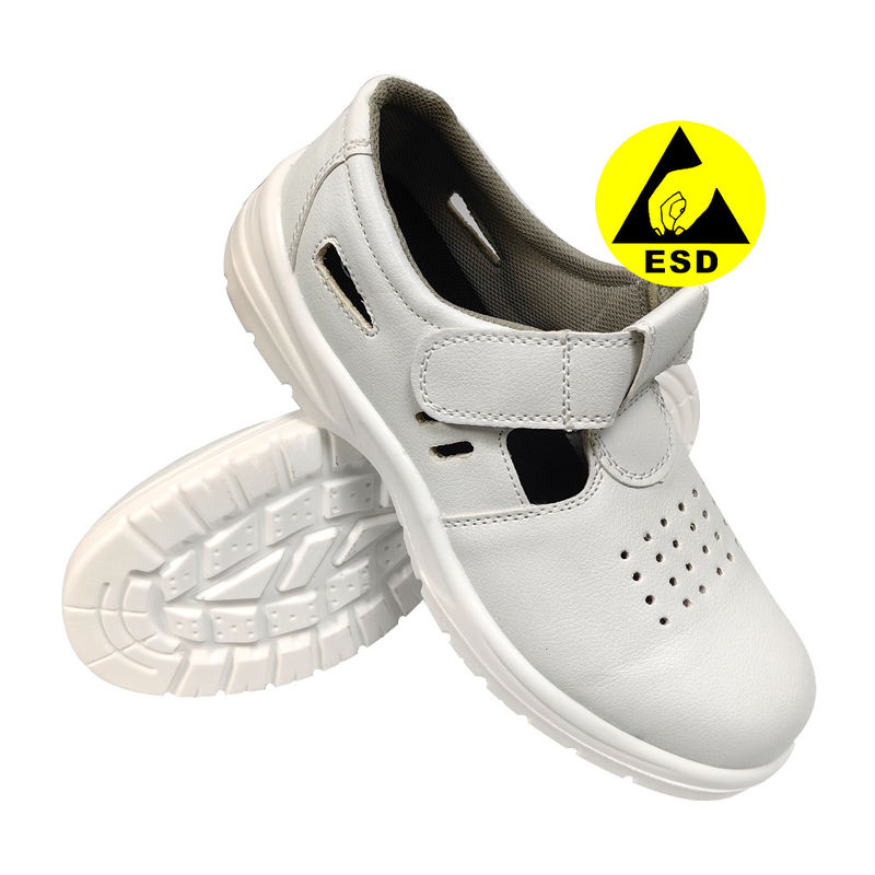 สีขาว PU เซลล์ ESD แอนติสแตติก แอนติสมาชริก รองเท้าป้องกันแรงงาน รองเท้าป้องกันเท้ารองเท้ารองเท้ารองเท้ารองเท้ารองเท้ารองเท้ารองเท้ารองเท้ารองเท้ารองเท้ารองเท้ารองเท้ารองเท้ารองเท้ารองเท้ารองเท้ารองเท้ารองเท้ารองเท้ารองเท้ารองเท้ารองเท้ารองเท้ารองเท้ารองเท้ารองเท้ารองเท้ารองเท้ารองเท้ารองเท้ารองเท้ารองเท้ารองเท้ารองเท้ารองเท้ารองเท้ารองเท้ารองเท้ารองเท้ารองเท้ารองเท้ารองเท้ารองเท้ารองเท้ารองเท้ารองเท้ารองเท้ารองเท้ารองเท้ารองเท้ารองเท้ารองเท้ารองเท้ารองเท้ารองเท้ารองเท้ารองเท้ารองเท้ารองเท้ารองเ